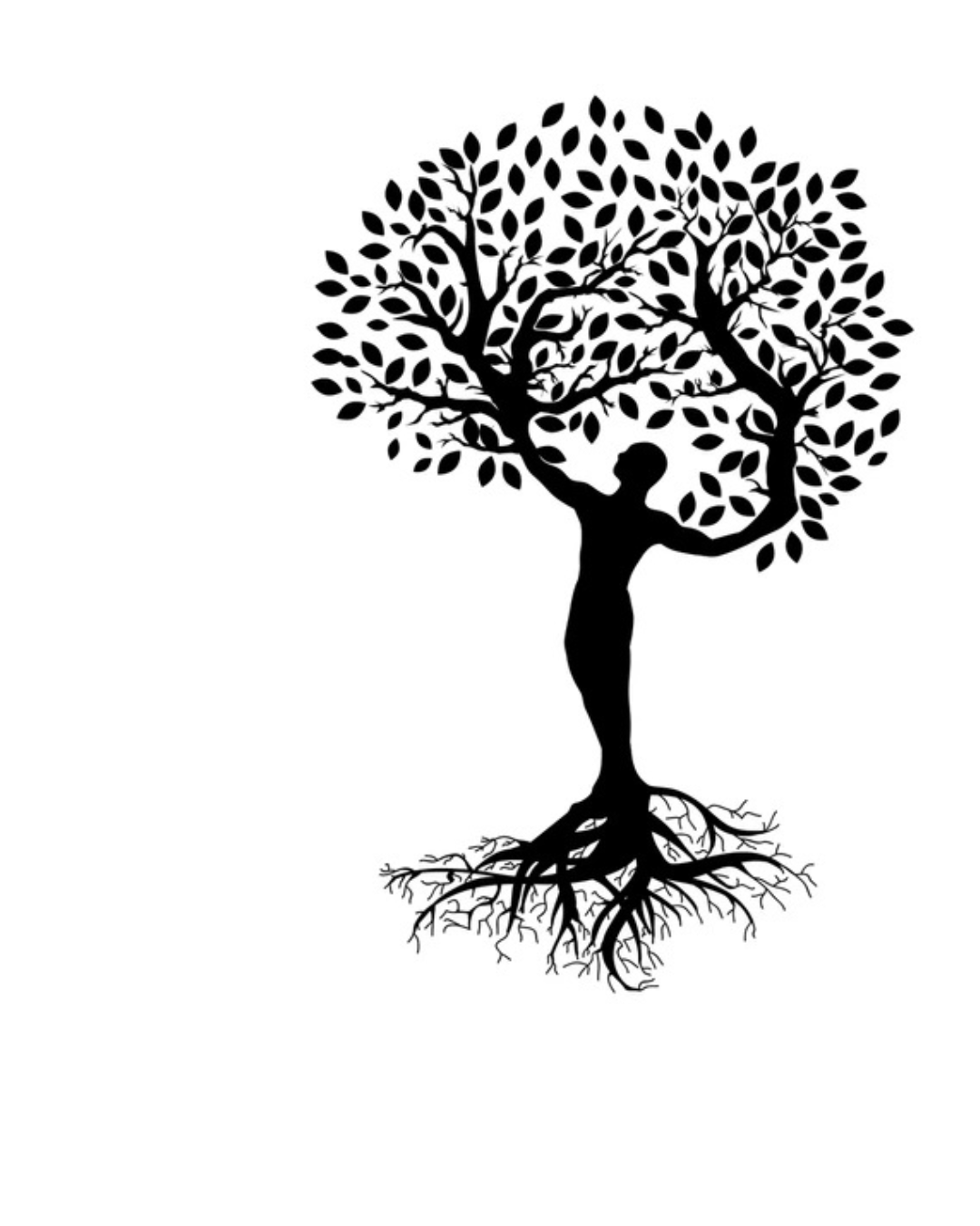 Movimento Organico - video lezioni per non danzatori